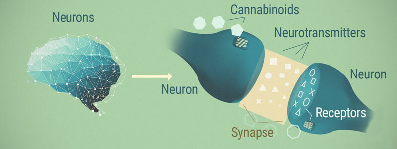 CBD helps with schizophrenia