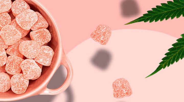 CBD Oil vs Gummies Which one shall you pick out